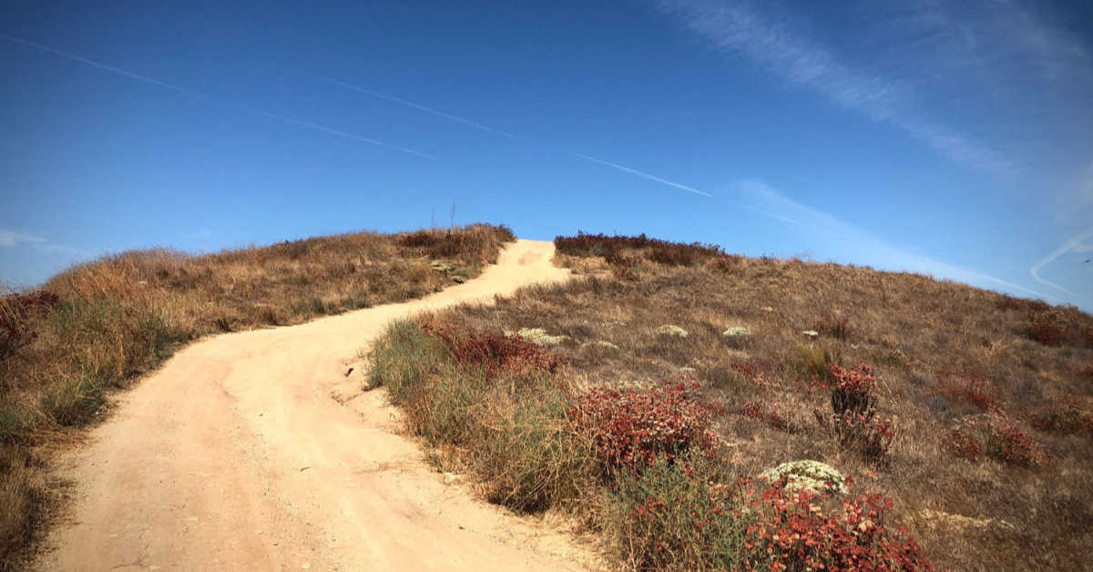 California wilderness walk