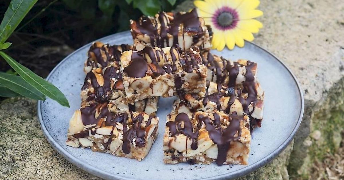 susan joy's nut and cranberry muesli bars