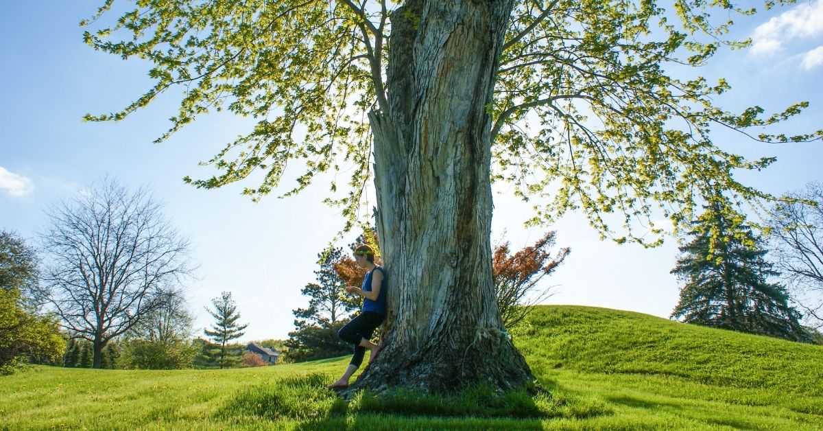 a woman stands in the shade of a giant tree