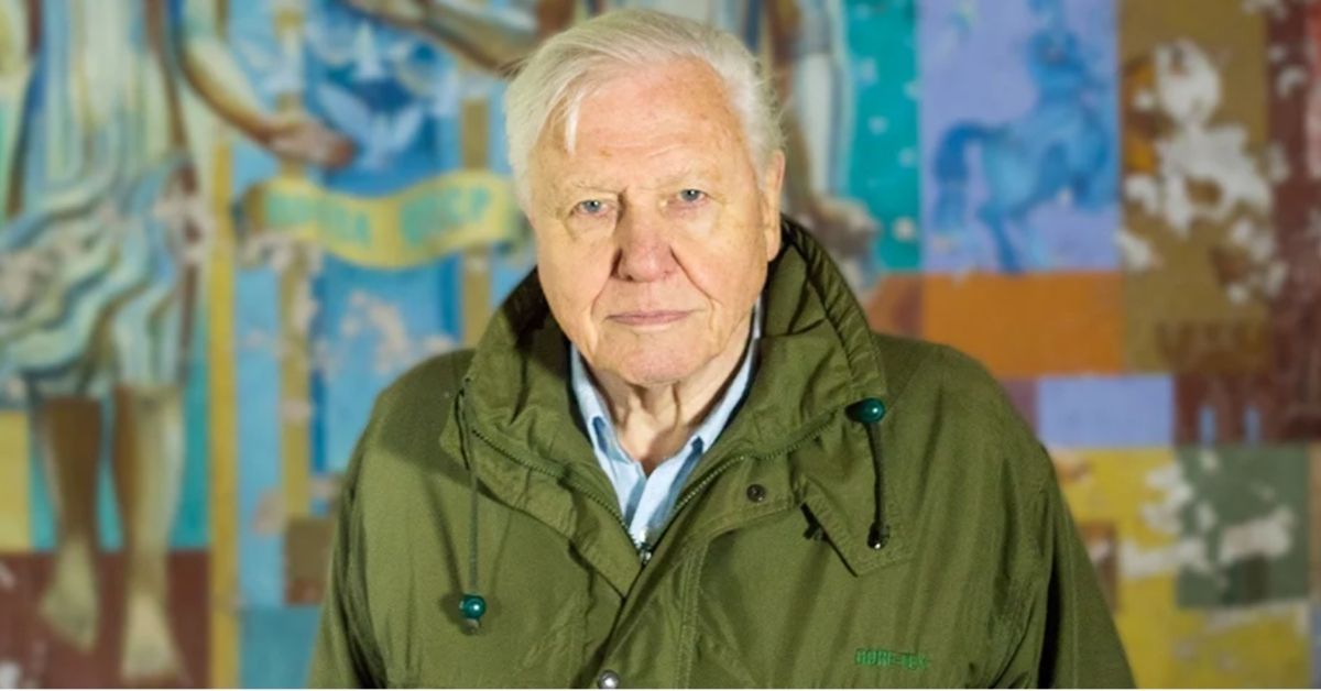 david attenborough