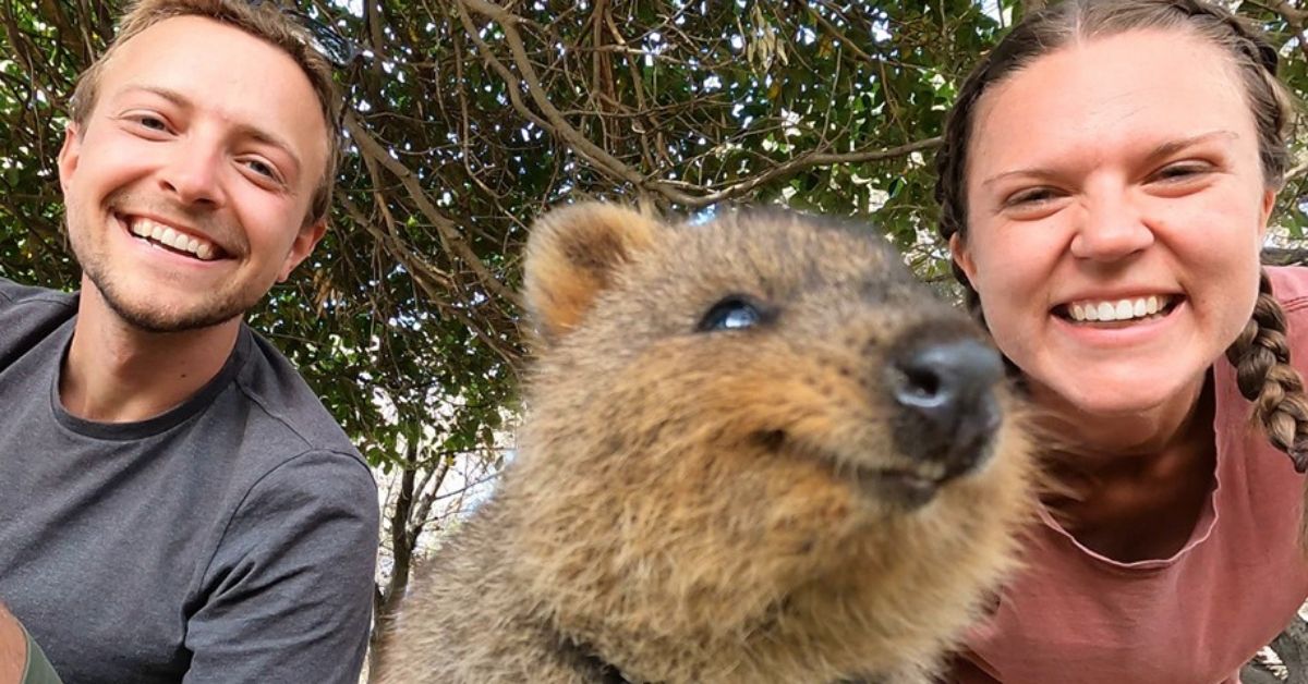 Zane and Sarah Geiser pose with a smilingquokka