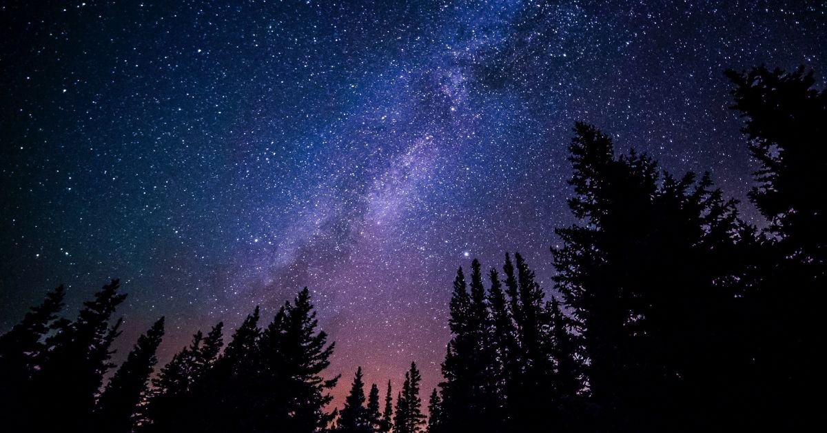 stars in the night sky with silhouette of trees in the foreground